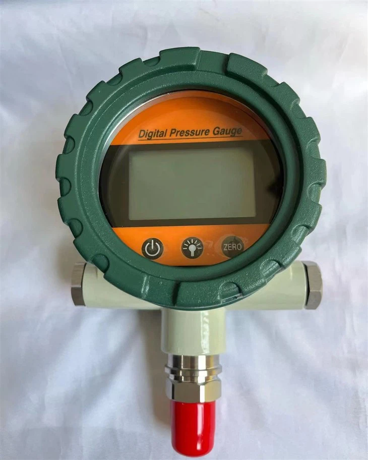 CWY100 Digital Pressure Test Gauge factory